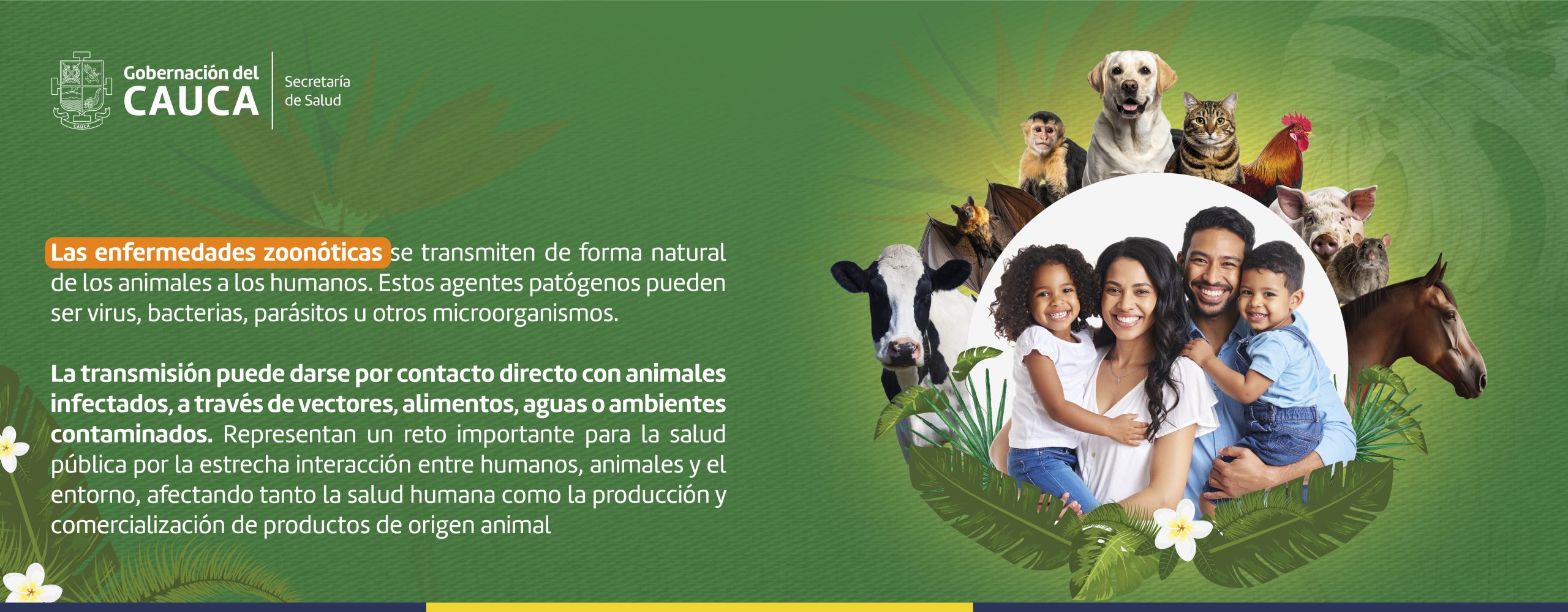 Slider zoonosis