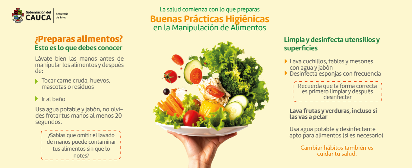 01 alimentos