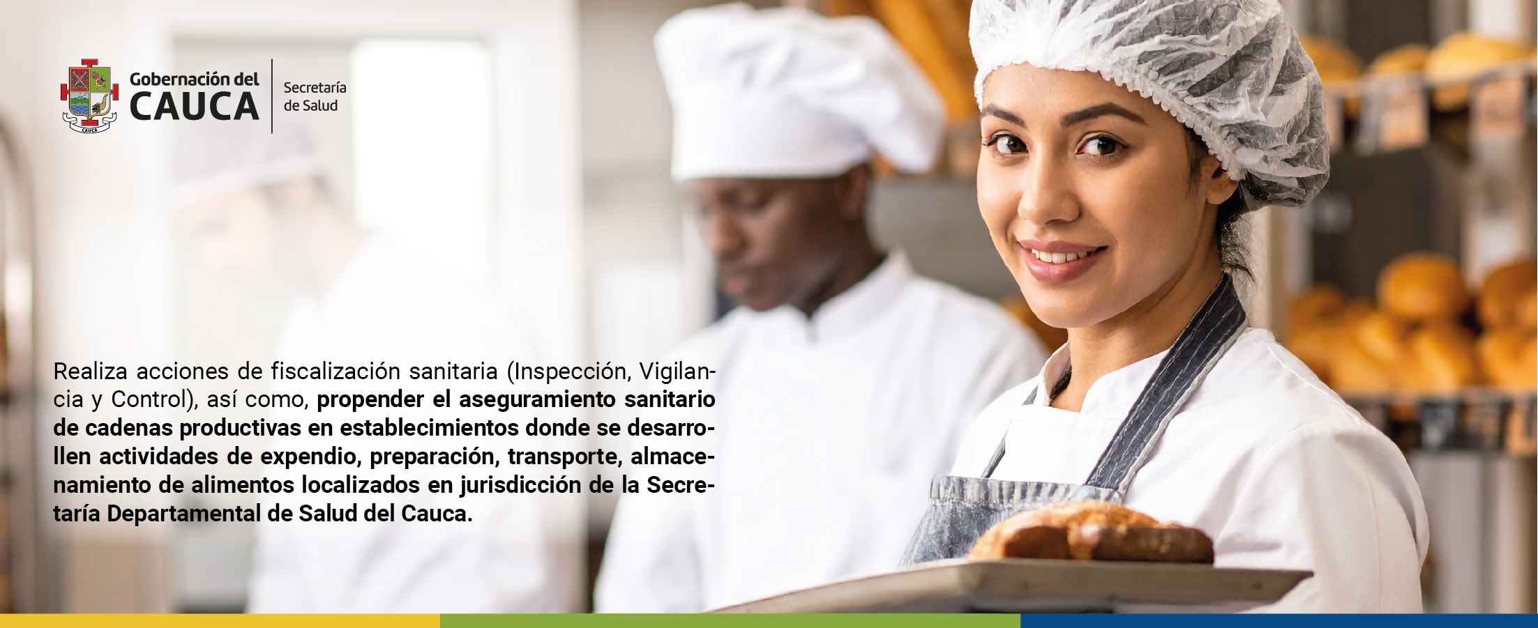 72 ppp_Mesa de trabajo 1 copia 2