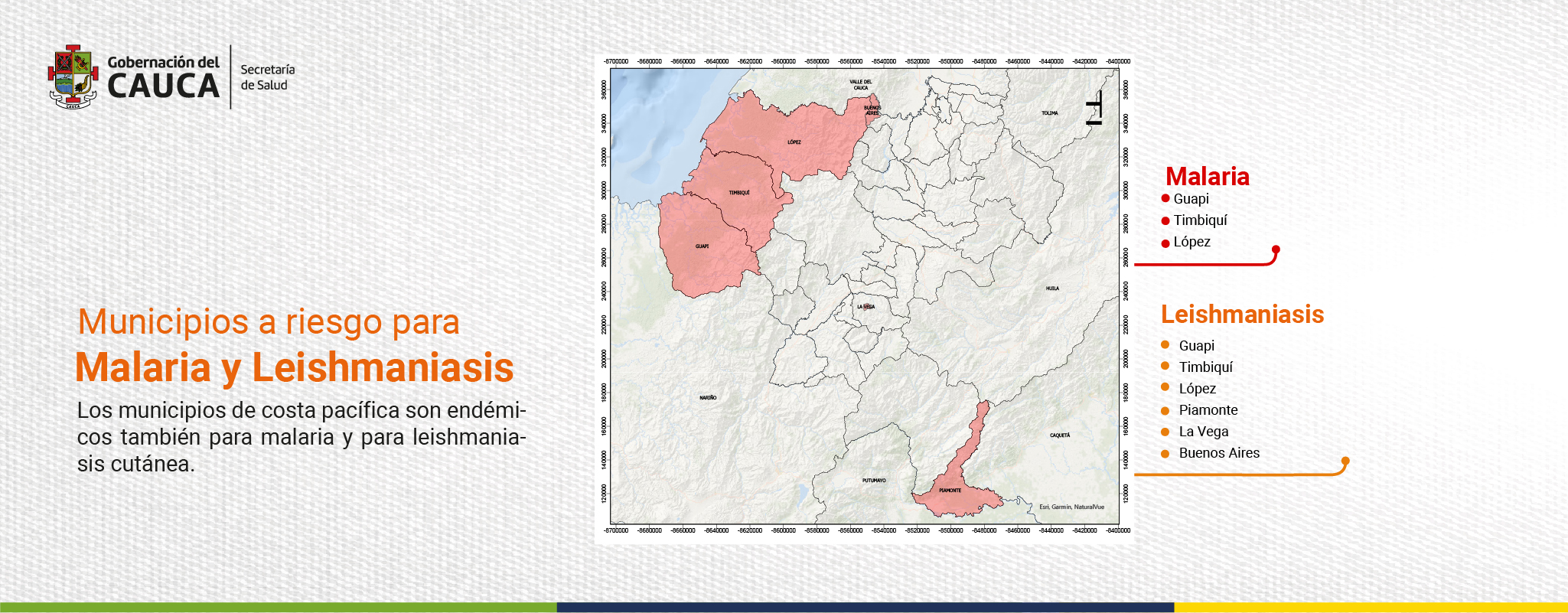 ERICA PESO 75_Mesa de trabajo 1 copia 10 (1)