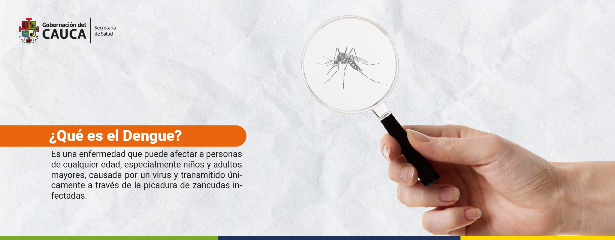 ERICA PESO 75_Mesa de trabajo 1 copia 11 (1)