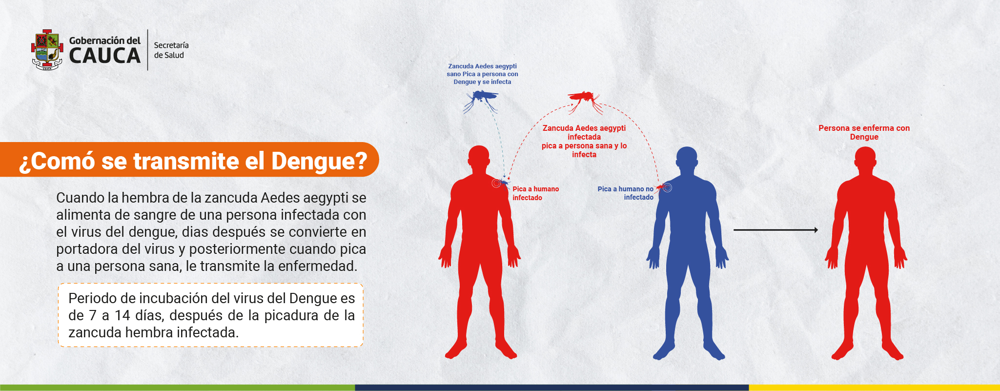 ERICA PESO 75_Mesa de trabajo 1 copia 13