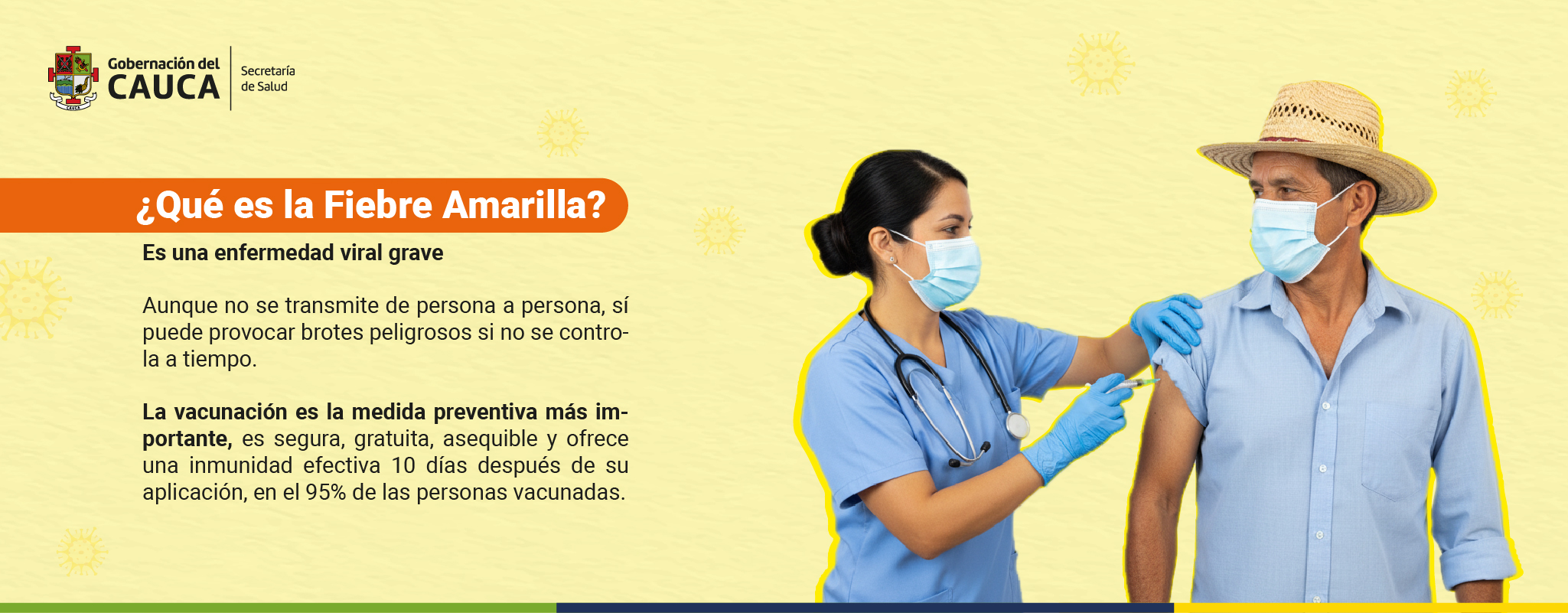 ERICA PESO 75_Mesa de trabajo 1 copia 15