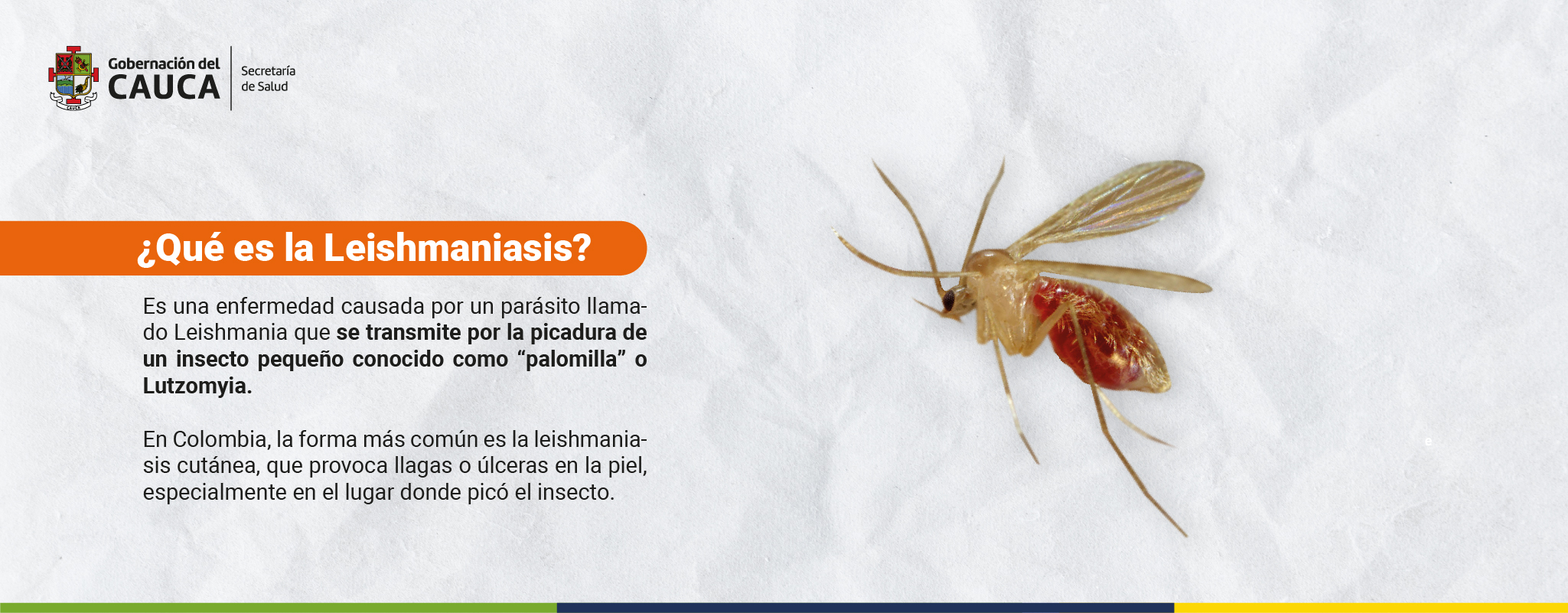 ERICA PESO 75_Mesa de trabajo 1 copia 24