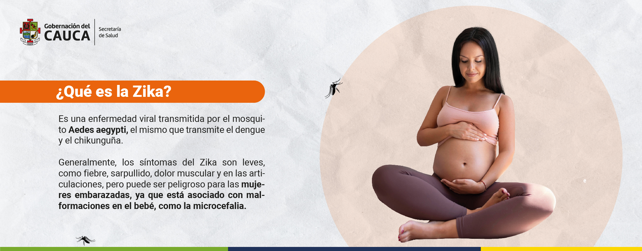 ERICA PESO 75_Mesa de trabajo 1 copia 25 (1)