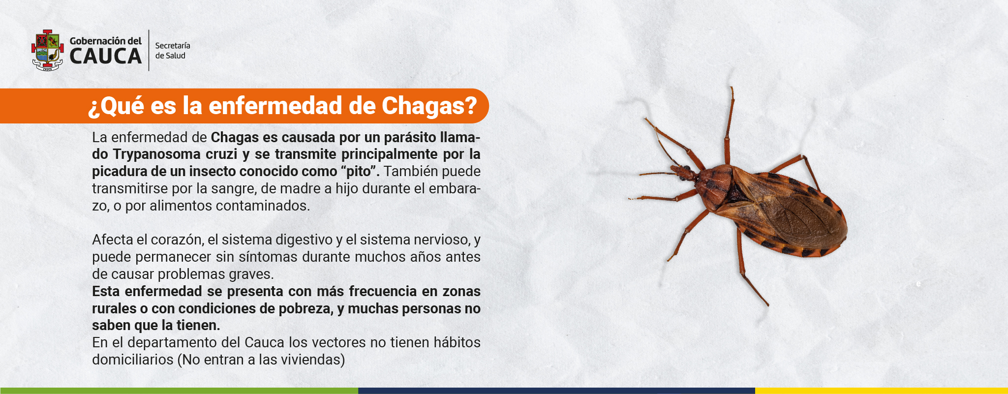 ERICA PESO 75_Mesa de trabajo 1 copia 27