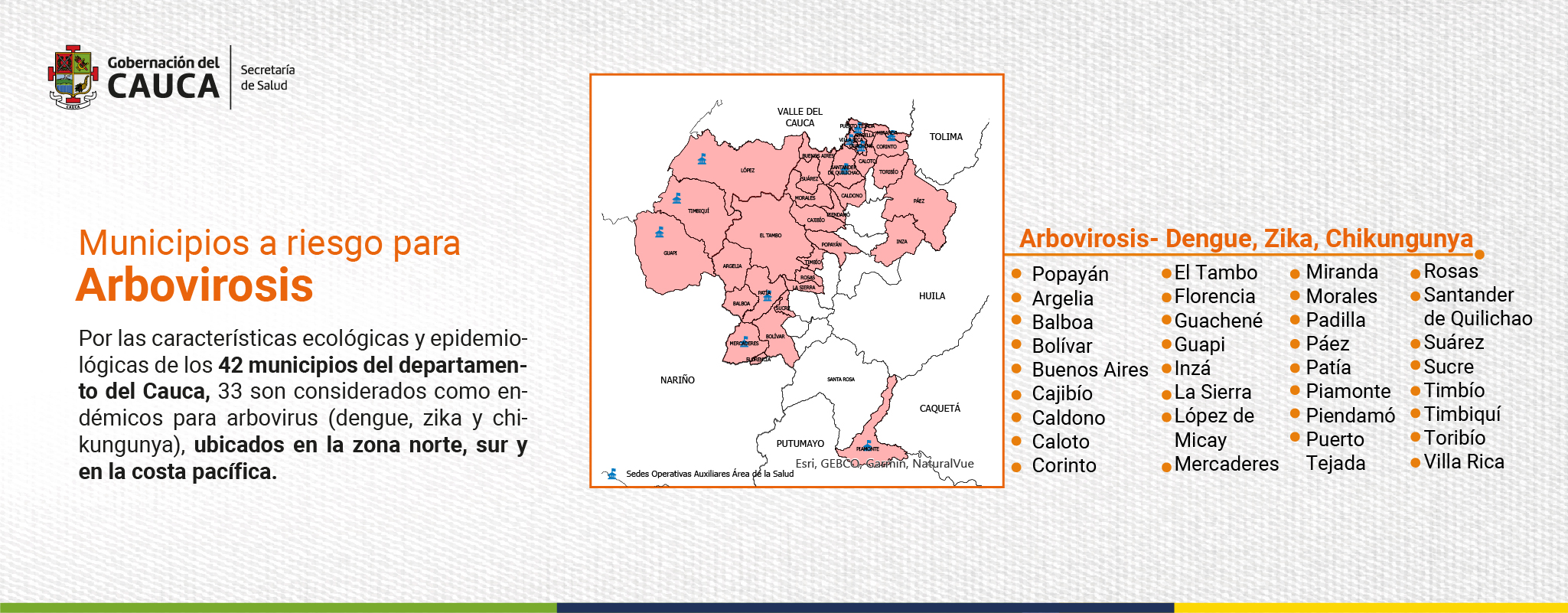 ERICA PESO 75_Mesa de trabajo 1 copia 8-01