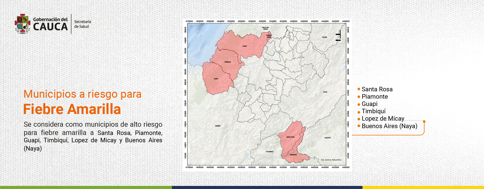 ERICA PESO 75_Mesa de trabajo 1 copia 9 (1)