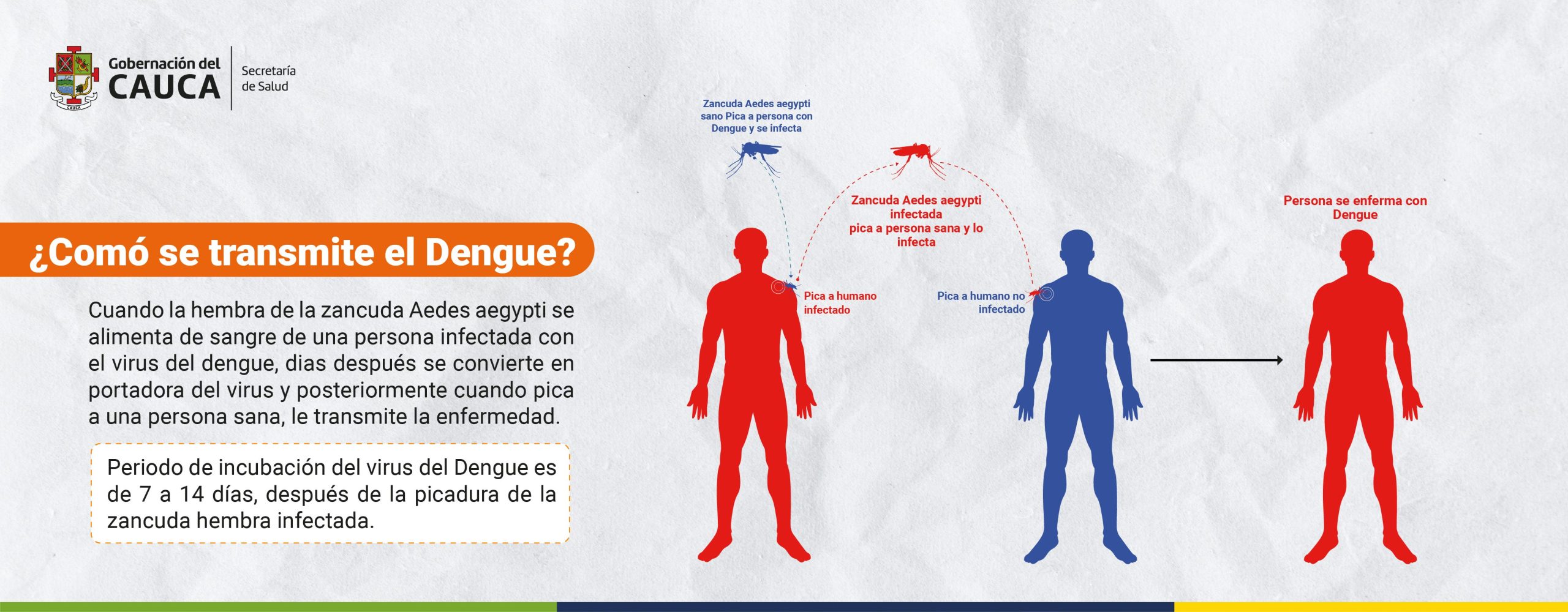 SLIDER ETV_Mesa de trabajo 1 copia 13