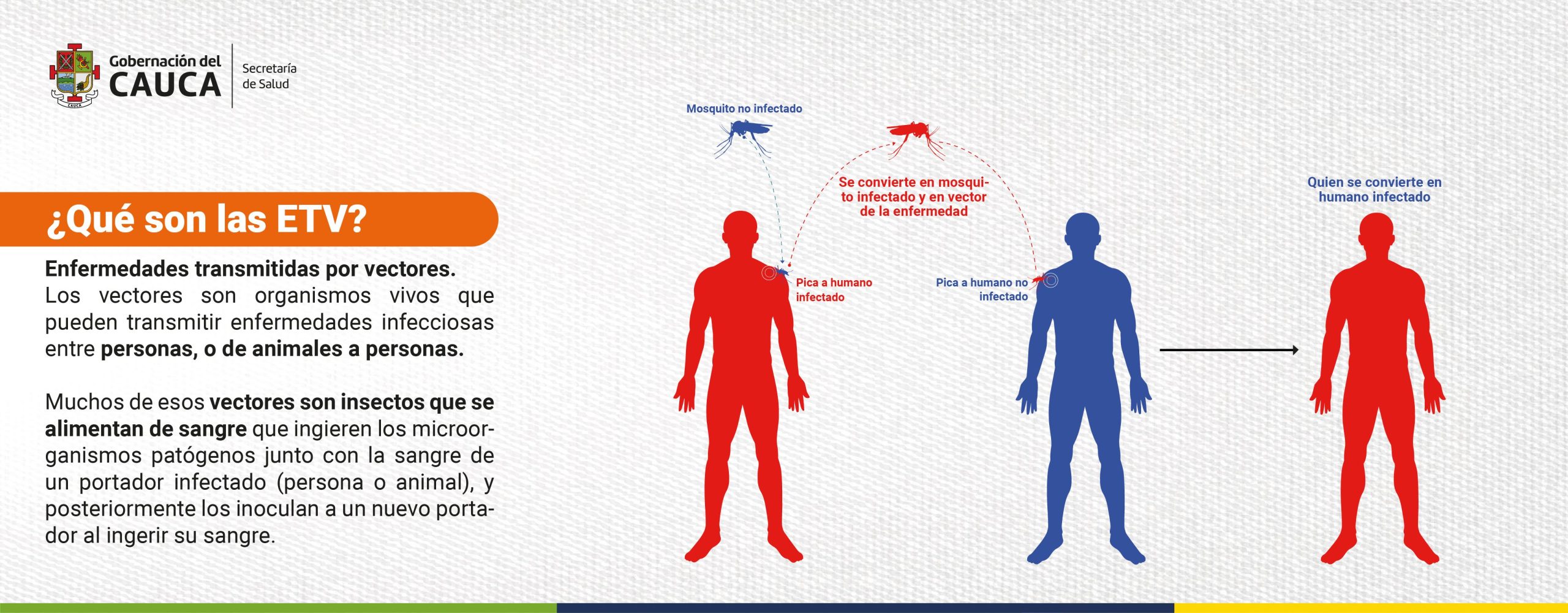 SLIDER ETV_Mesa de trabajo 1 copia 8-02